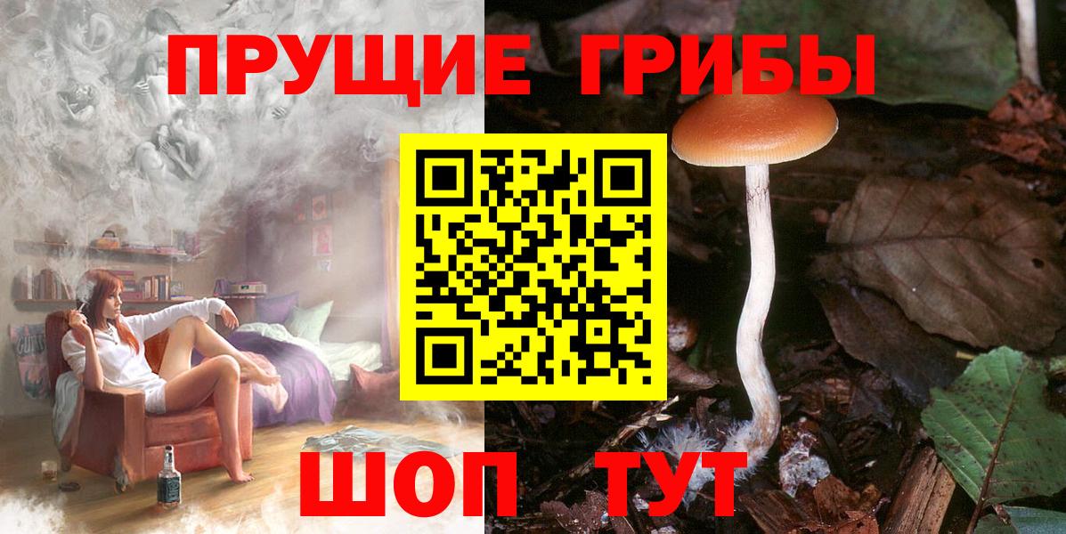 Галлюциногенные грибы мицелий Тимашёвск