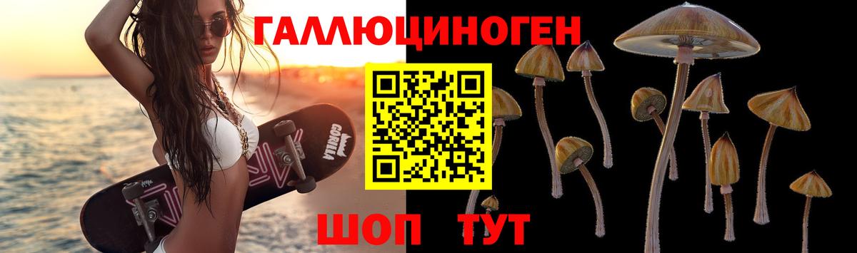Галлюциногенные грибы мицелий  Вход с VPN  Тимашёвск 