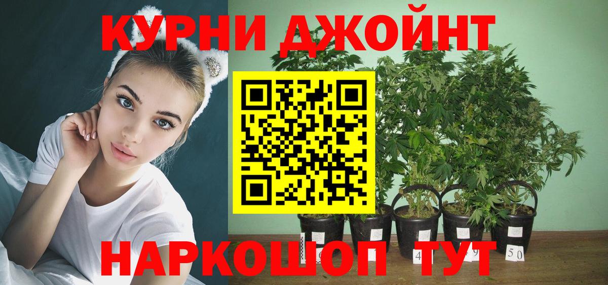 Марихуана индика  Канабис конопля  Тимашёвск  Вход с VPN  МАРИХУАНА VHQ 